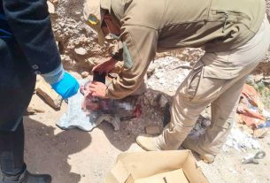 ¡Escalofriante!: En medio de la basura hallan un embrión humano