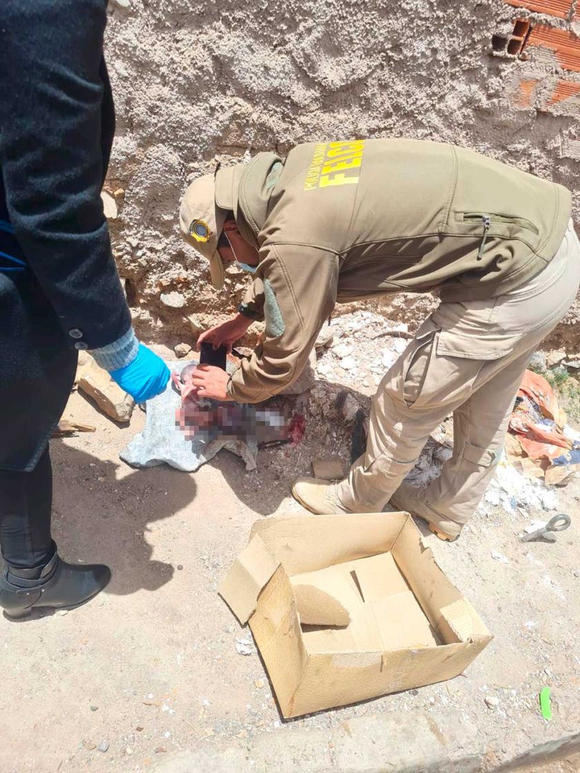¡Escalofriante!: En medio de la basura hallan un embrión humano