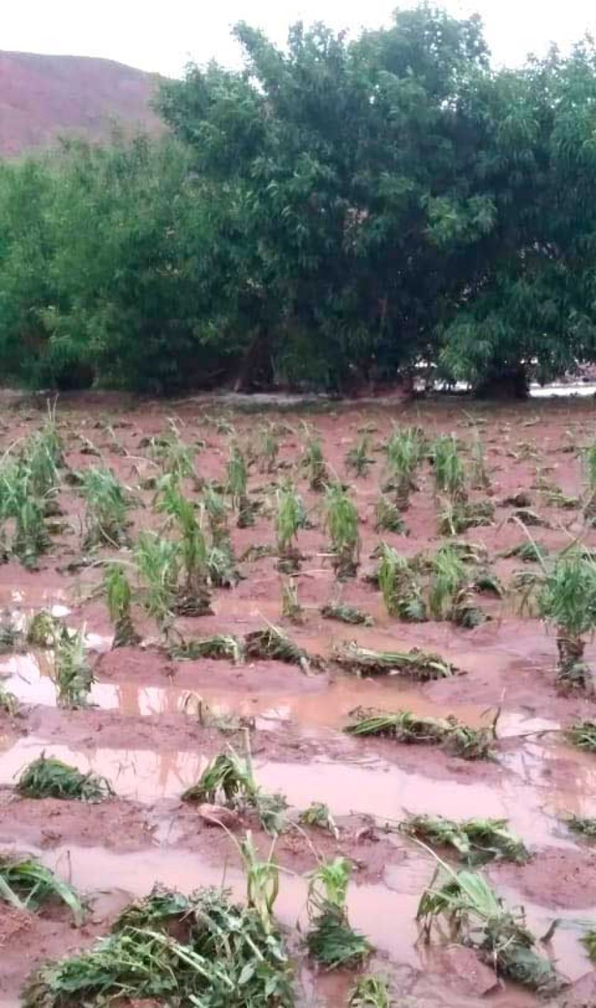 Intensas granizadas afectan a 320 familias de Potosí