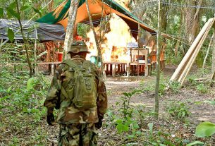 Santa Cruz: Fuerza antidrogas destruye “megalaboratorio” para producir clorhidrato de cocaína