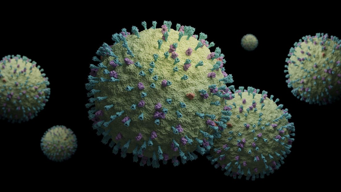 OMS evalúa posible brote de metapneumovirus