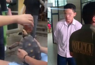 Sentencian con dos años de cárcel para joven que roció alcohol a una tortuga; el animal quedo con inflamación ocular