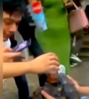 Santa Cruz: La Policía busca a hombres que embriagaron a una tortuga en Año Nuevo