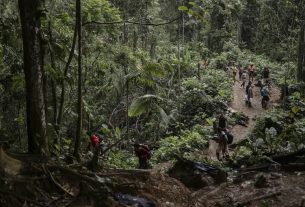 Deportados por EE.UU. a Panamá llegan a refugio en la selva del Darién