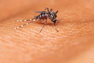 Brasil anuncia la producción de la nueva vacuna contra el dengue