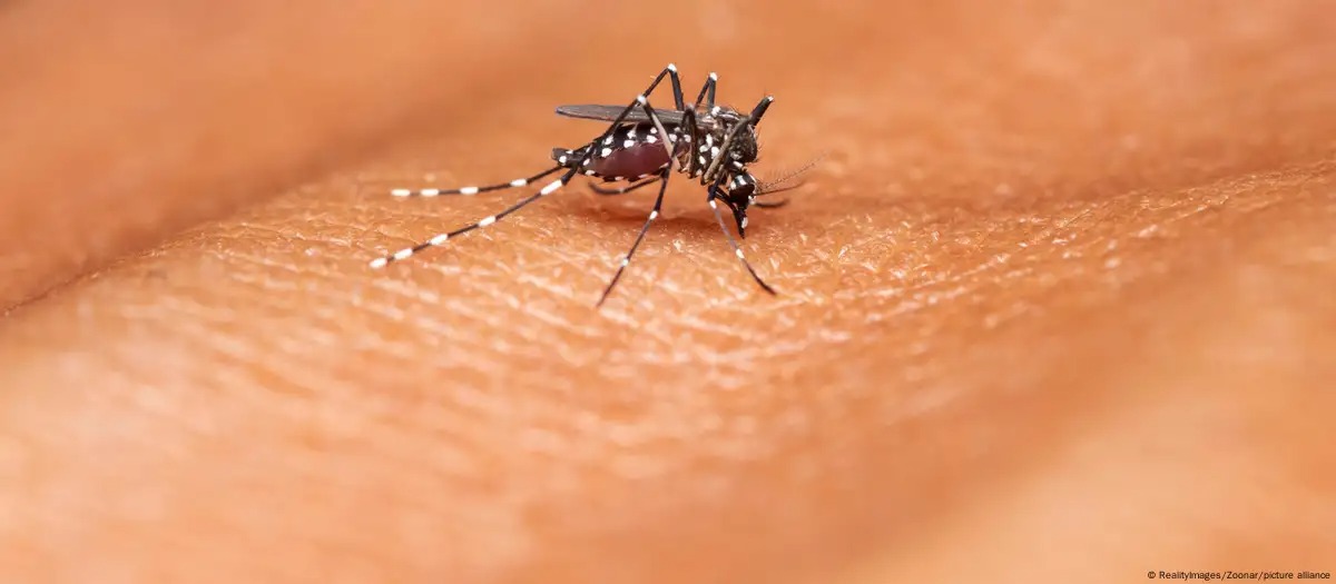 Brasil anuncia la producción de la nueva vacuna contra el dengue