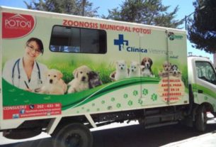 Zoonosis de Potosí da continuidad a la campaña de esterilización en mascotas