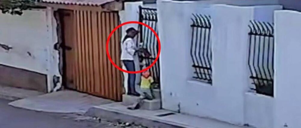 Cámaras captan a mujer robando a perros de distintas razas del interior de viviendas