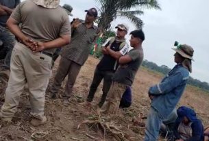 Anapo exige el desalojo inmediato ante nuevo avasallamiento en Ascensión de Guarayos